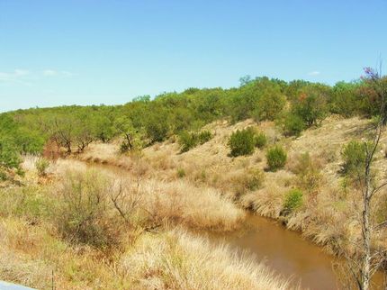 Timberland Property in Runnels County, Texas