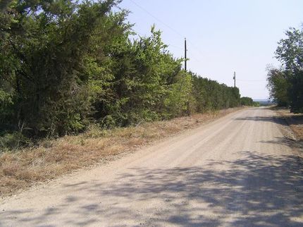 Timberland Property in Hamilton County, Texas