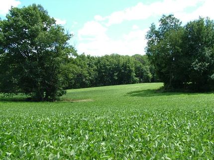 Farm and Ranch in Lapeer County, Michigan