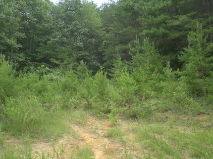 Farm and Ranch in Grainger County, Tennessee