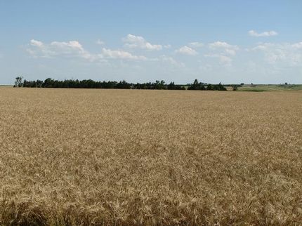 Land in Hayes County, Nebraska