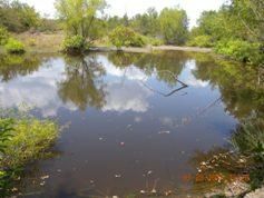 Land in Pushmataha County, Oklahoma
