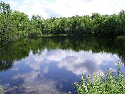 Land in Oneida County, New York