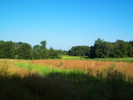 Farm and Ranch in Adams County, Illinois