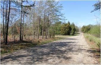 Land in Buckingham County, Virginia