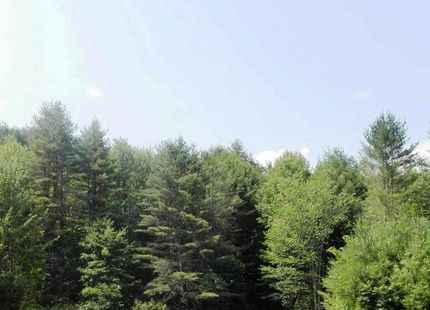 Land in Windsor County, Vermont