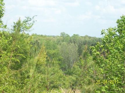 Farm and Ranch in Pittsylvania County, Virginia