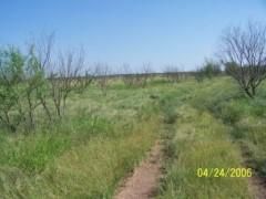 Farm and Ranch in Stonewall County, Texas