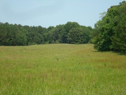 Farm and Ranch in Calhoun County, Alabama