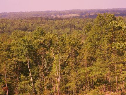 Farm and Ranch in Chilton County, Alabama