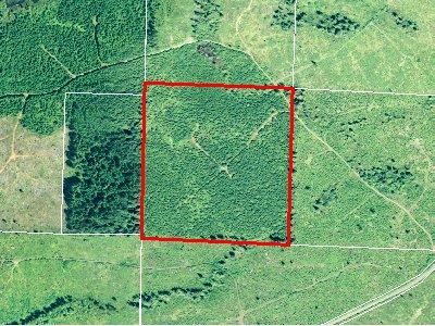 Farm and Ranch in Grays Harbor County, Washington