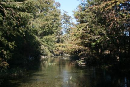 Timberland Property in Bandera County, Texas