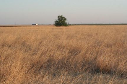 Land in Hale County, Texas