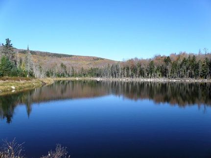Land in Caledonia County, Vermont