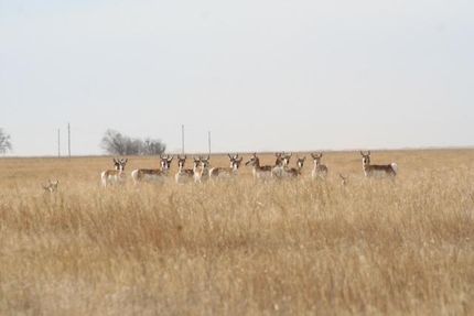Farm and Ranch in Deaf Smith County, Texas