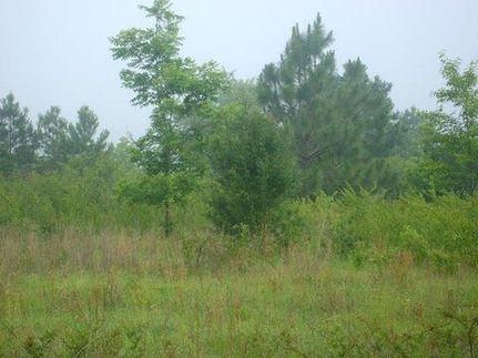 Land in Lexington County, South Carolina