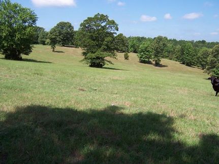 Farm and Ranch in Upshur County, Texas