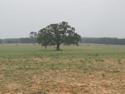 Farm and Ranch in Eastland County, Texas