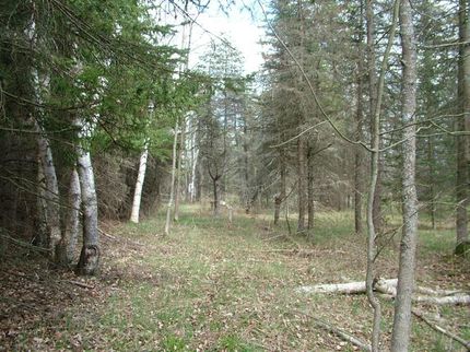 Land in Iosco County, Michigan