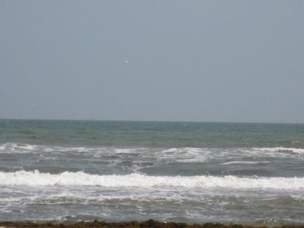 Farm and Ranch in Matagorda County, Texas
