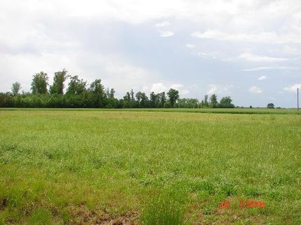 Riverfront Property in Bertie County, North Carolina