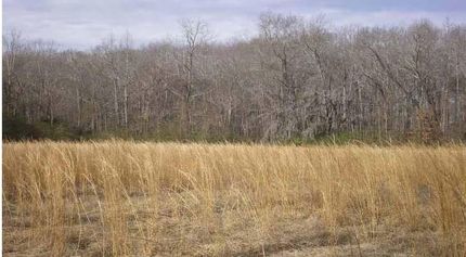 Farm and Ranch in Elmore County, Alabama