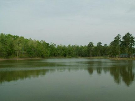 Farm and Ranch in Meriwether County, Georgia