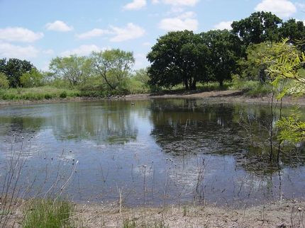Farm and Ranch in Young County, Texas