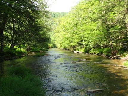 Farm and Ranch in Pocahontas County, West Virginia