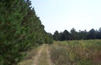 Land in Lexington County, South Carolina