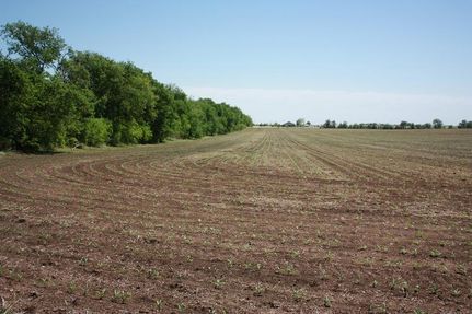 Land in McLennan County, Texas