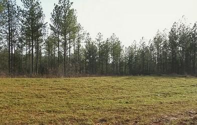 Land in Fairfield County, South Carolina