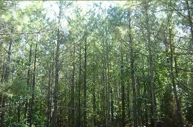 Land in Chester County, South Carolina