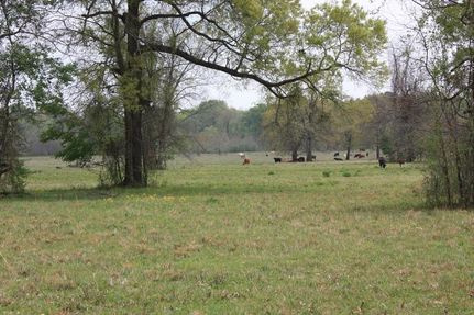 Land in Red River County, Texas