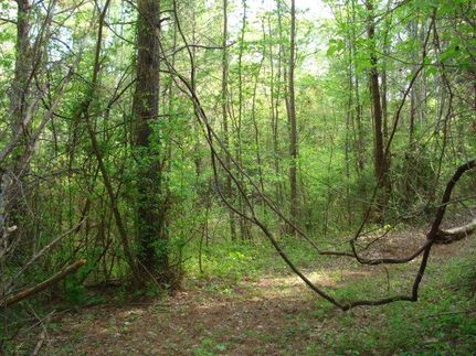 Land in Cherokee County, Texas