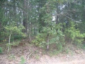 Farm and Ranch in Marshall County, Mississippi