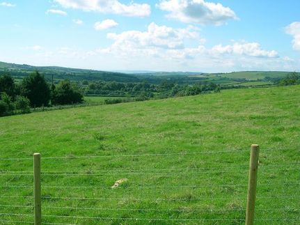 Farm and Ranch in Cochran County, Texas