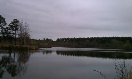 Farm and Ranch in Johnson County, Georgia