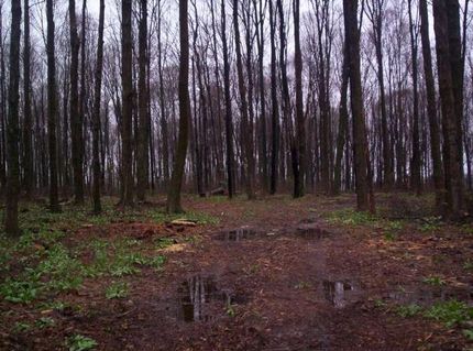 Farm and Ranch in Mecosta County, Michigan