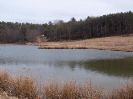 Farm and Ranch in Carroll County, Virginia