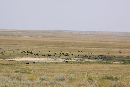 Land in Logan County, Kansas