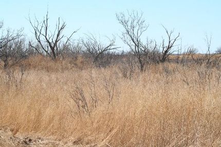 Farm and Ranch in Fisher County, Texas