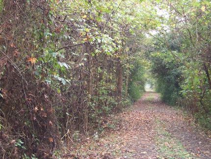 Farm and Ranch in Hale County, Alabama