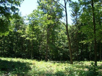 Land in Allegan County, Michigan