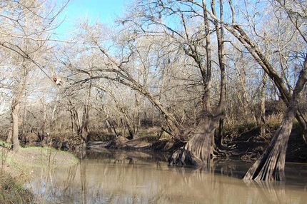 Recreational Property in Wharton County, Texas