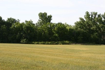Farm and Ranch in Collingsworth County, Texas