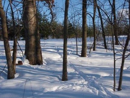 Land in Grant County, Wisconsin