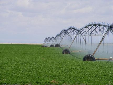 Farm and Ranch in Millard County, Utah