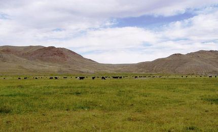 Land in Elko County, Nevada
