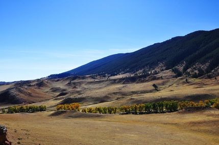 Farm and Ranch in Johnson County, Wyoming